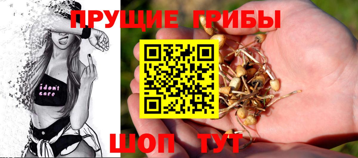 Назрань  Псилоцибиновые грибы мухоморы  Вход с VPN 
